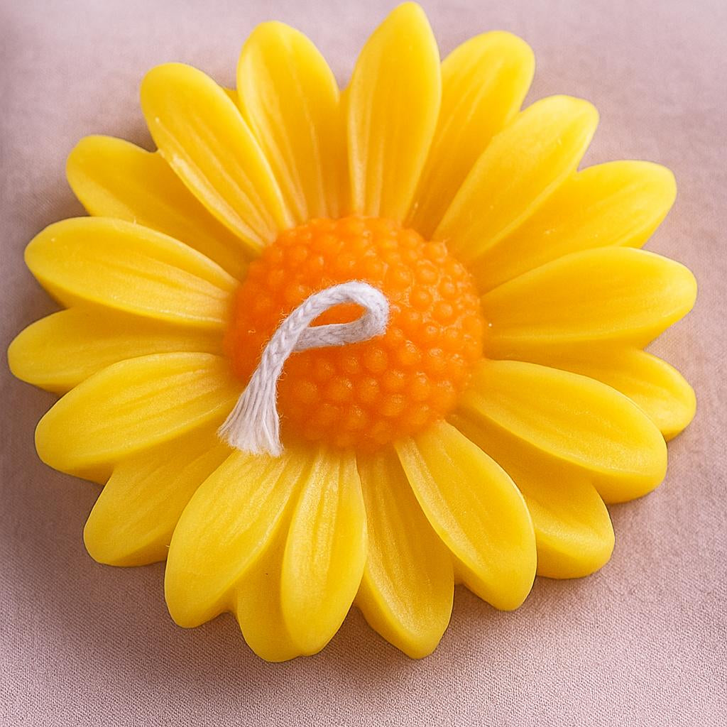 Pure daisy